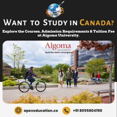 Apex Study Abroad LLP